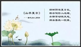 关于夏天的古诗20首