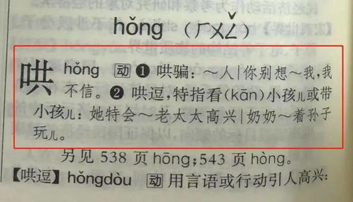 哄的读音 哄的读音有什么