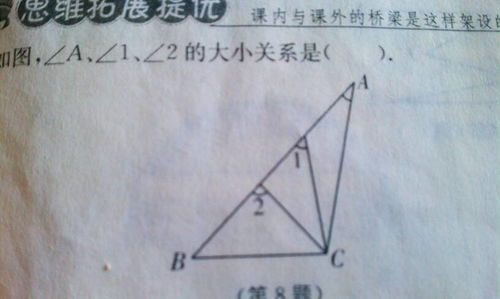 角角鱼，角角鸟