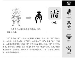 需的部首是什么?