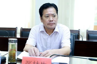 赵镇欺负村花是哪一集