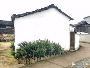 天寒白屋贫”中的“白屋”是指白雪覆盖的屋子。