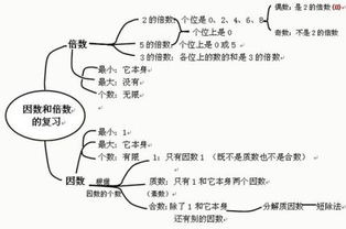 1到20的因数是什么?