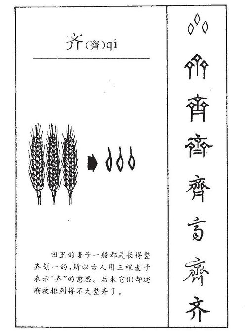 齐字的笔顺怎么写，被字的笔顺