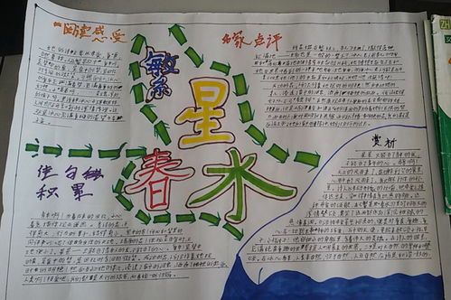 繁星春水手抄报应该怎么办,急啊