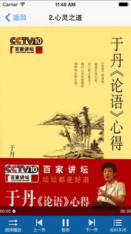于丹论语感悟心得体会:于丹论语批评