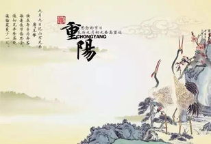 写重阳节的诗句