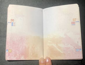 白本护照什么意思，白本彩奈