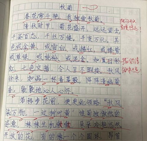 抄写作文200字三年级