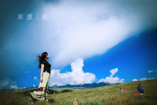 人生的旅途感悟的句子，人生的旅途作文