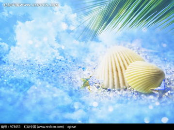 海阔天空的拼音怎么写的拼，悲天悯人的拼音