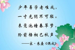 白日放歌须纵酒,青春作伴好还乡是什么意思