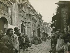1909年属什么生肖，1909年诺贝尔文学奖作品