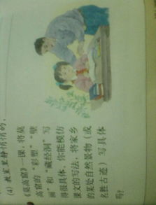 窗外即景作文
