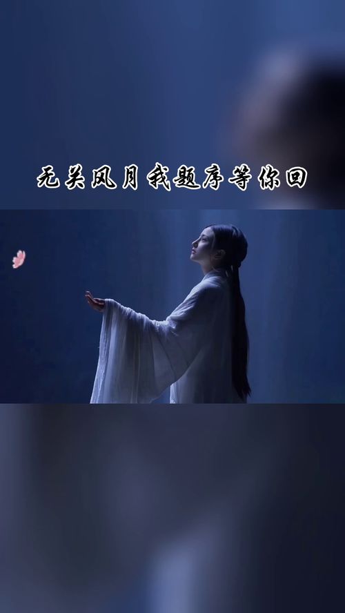 聚散不由人什么意思，人在风中聚散不由我