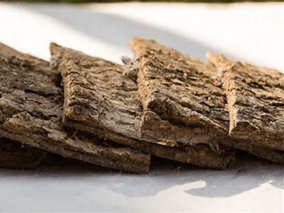 杜仲炭的功效与作用及禁忌症有哪些?，杜仲炭的功效与作用吃法
