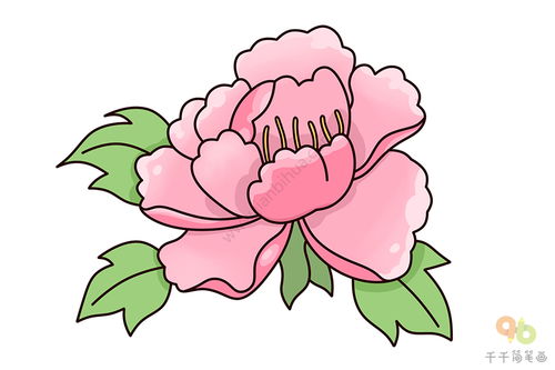 牡丹花简笔画图片大全大图，牡丹花简笔画教程
