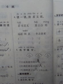 坚实的反义词是