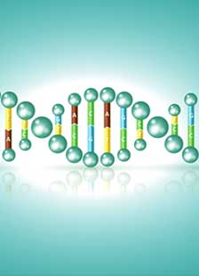 genetically，genetic modification