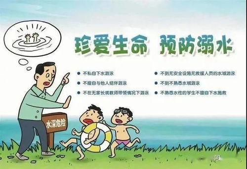 宣传交通安全的标语