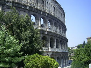 colosseum是什么牌子，colosseum衣服价格