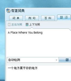place是什么意思