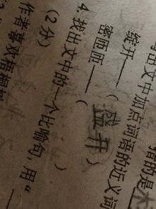 密密匝匝的读音