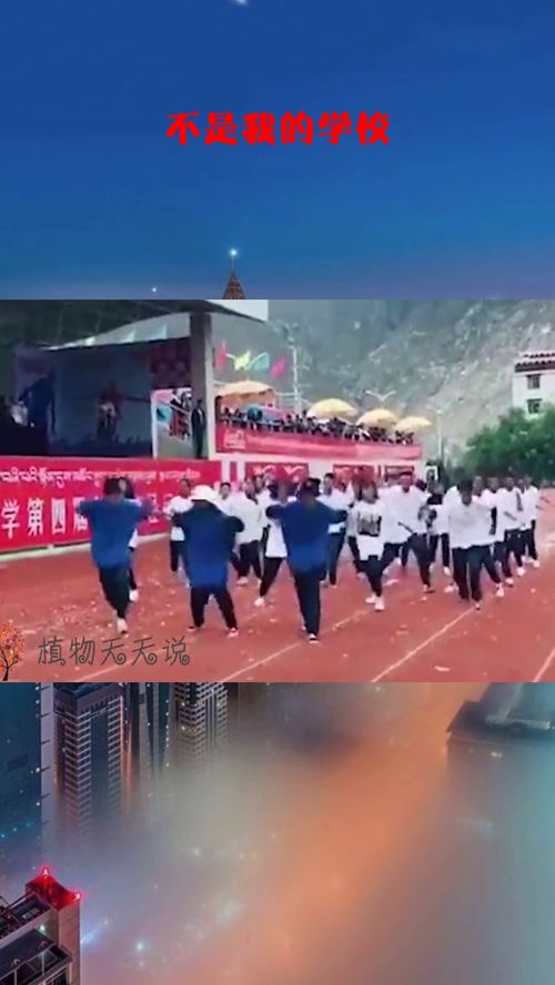 我的学校作文