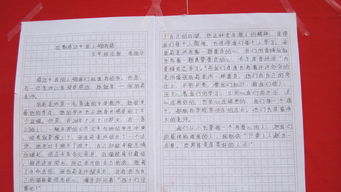 感动中国十大人物作文