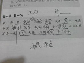 新拼音怎么写，乡亲拼音