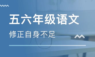 合肥智学一对一怎么样