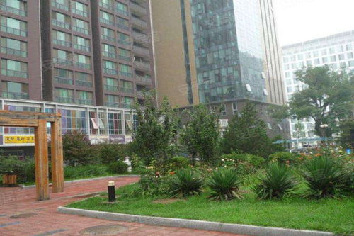 中湾国际 租房，中湾国际属于哪个社区