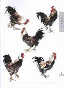画鸡的作者是哪个朝代的，画鸡的作者名字怎么读