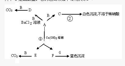 推断和推测有什么区别，推断出英文
