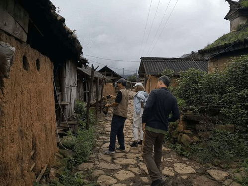 湖南岳阳市沧田村村史怎么写
