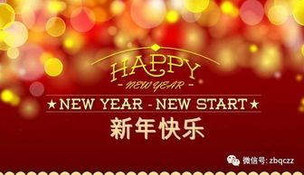 过大年作文