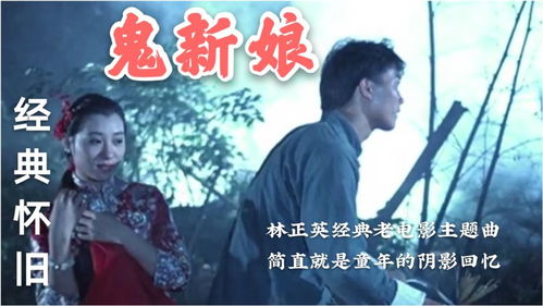 浪子心声歌词大意，浪子心声歌词谐音对照