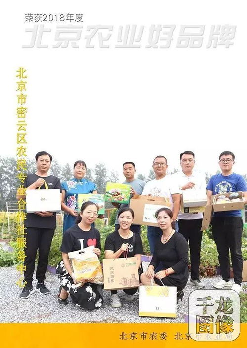 “好把式”是什么意思?