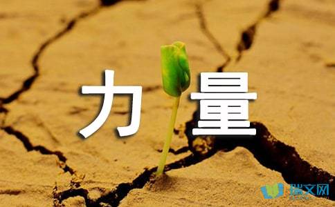 团结的力量作文400字