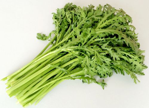 茼蒿读音是什么