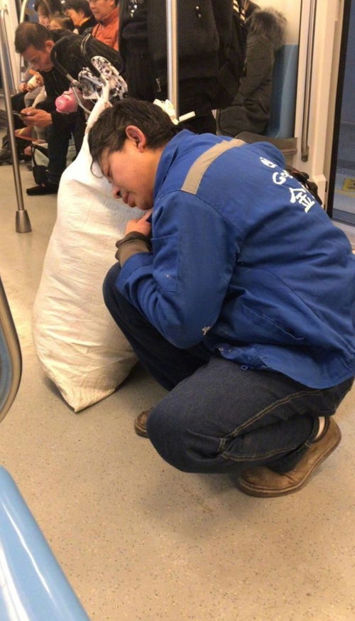 劳动教养是什么意思，骨子里的教养是什么意思