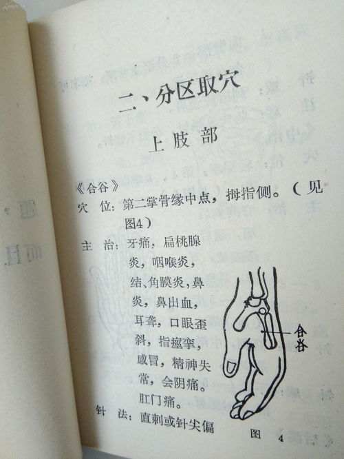 好听的作者笔名