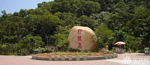 珠海野狸岛面积?