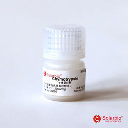 通过糜蛋白酶的催化作用机制阐述哪些催化协同作用体现出其多功能催化