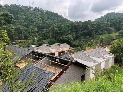 文山特产 文山有什么特产