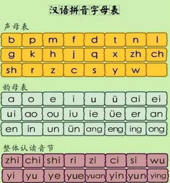 蝉拼音版古诗，小蚂蚁拼音
