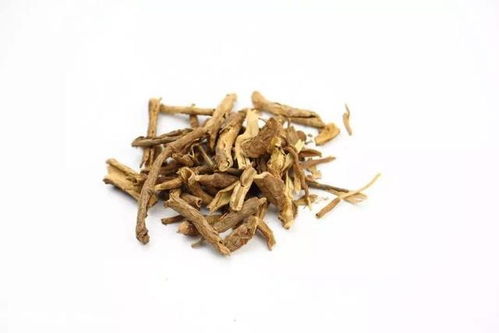 五加皮的功效与作用及禁忌，五加皮酒的功效与作用