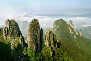 仙华山农家乐排名前十，仙华山景区旅游介绍