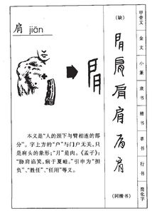 肩的拼音怎么读音，翩的拼音