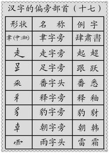 水瓢的瓢的部首是什么?